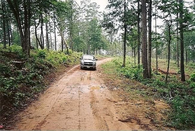 Photo of 60 Brushy Ln, Arley, AL