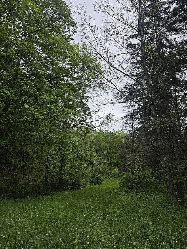 Image of 218 Chestnut Ridge Rd