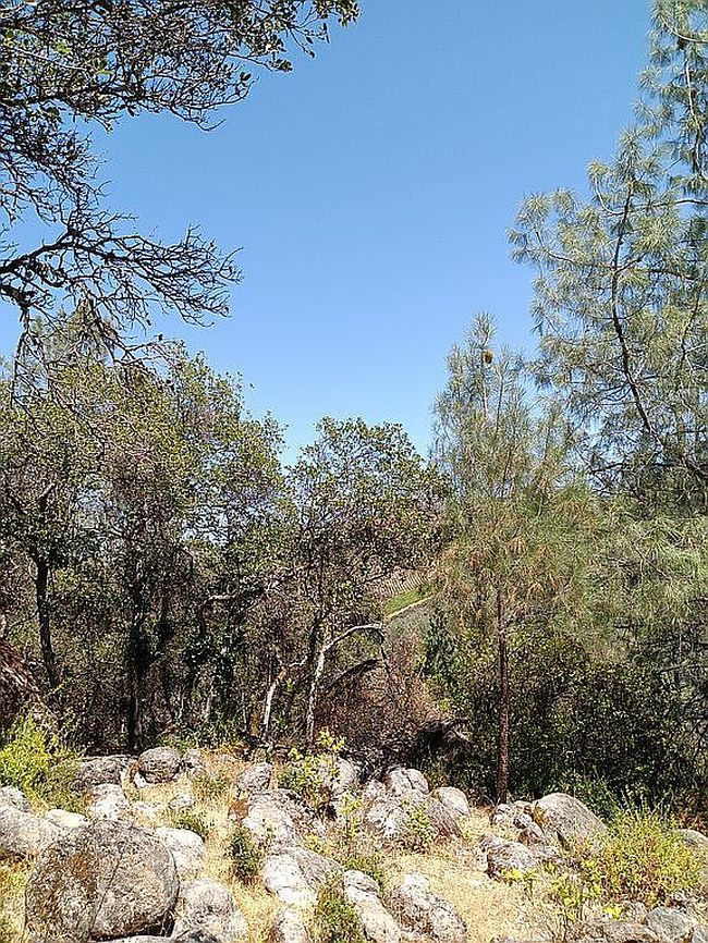 Photo of 4696 Iroquois Trl, Kelseyville, CA