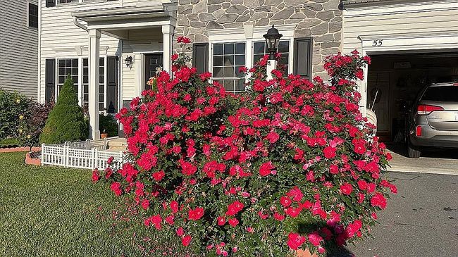 Photo of 55 Hamlet Circle, Mechanicsburg, PA