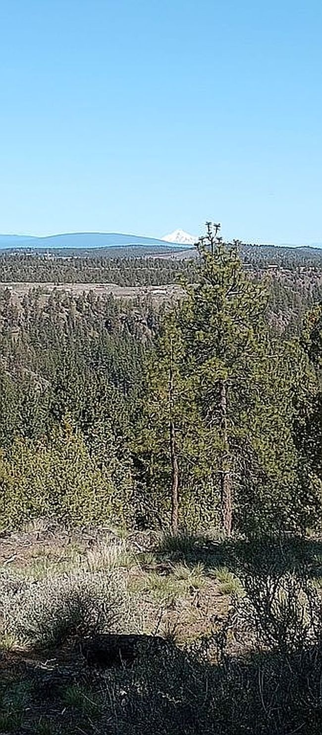 1650 Nw Wild Rye Cir, Bend, OR