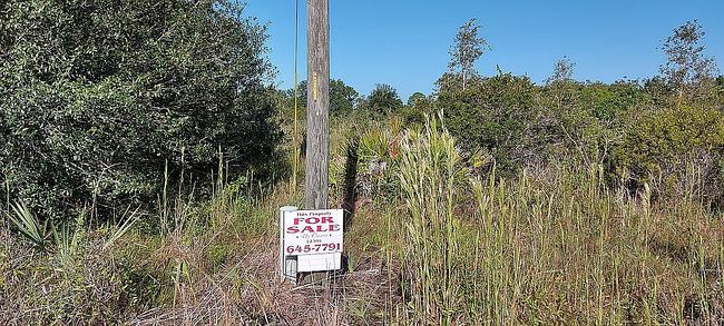 Photo of 423 Mercedes Ct, Lehigh Acres, FL