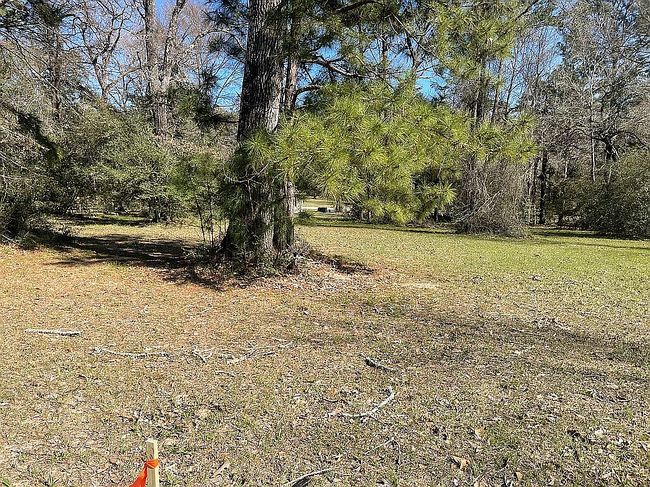 Image of 84 Hillsborough Dr