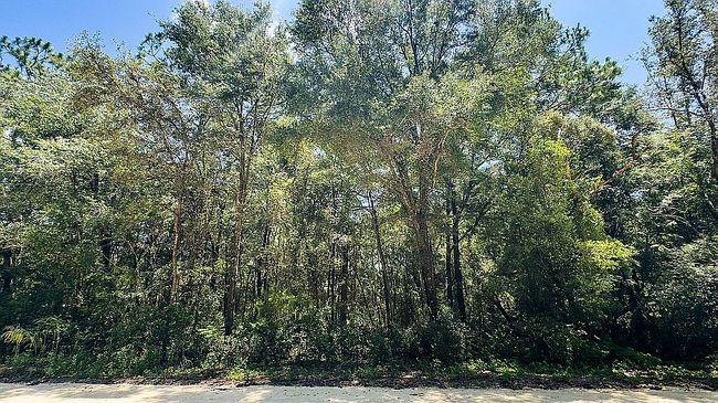 Photo of 0 Sw 158th Ave, Ocala, FL