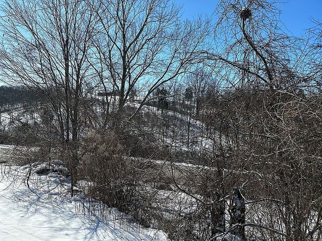 Image of 5912 Blue Rock Rd