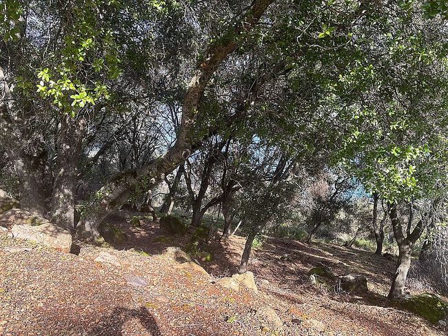 Photo of 10858 Northslope Dr, Kelseyville, CA