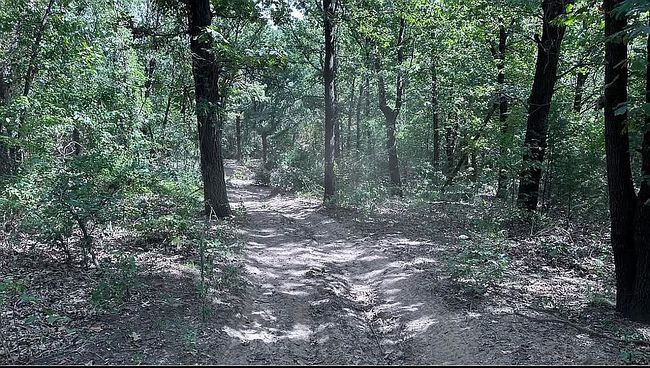 Photo of 18674 New Prue Rd, Osage, OK