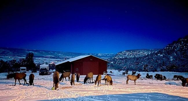 Photo of 18726 Kimball Creek Rd, Collbran, CO