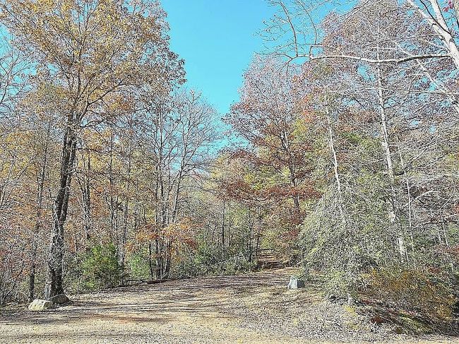 Image of 150 Swan Ln