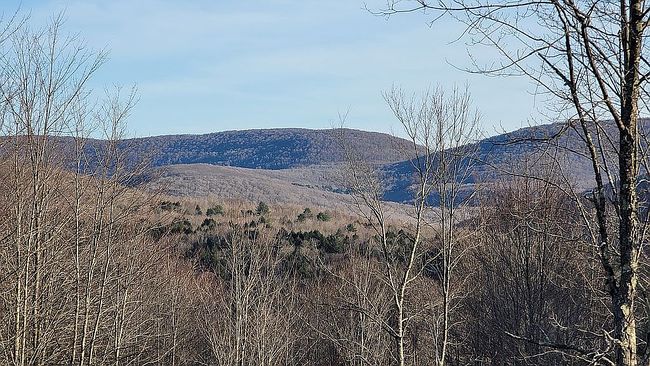 Image of 175 Close Hollow Rd