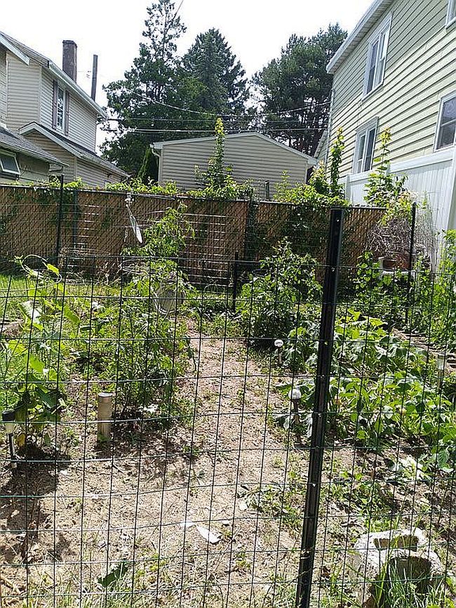 Image of 19 W 1st St