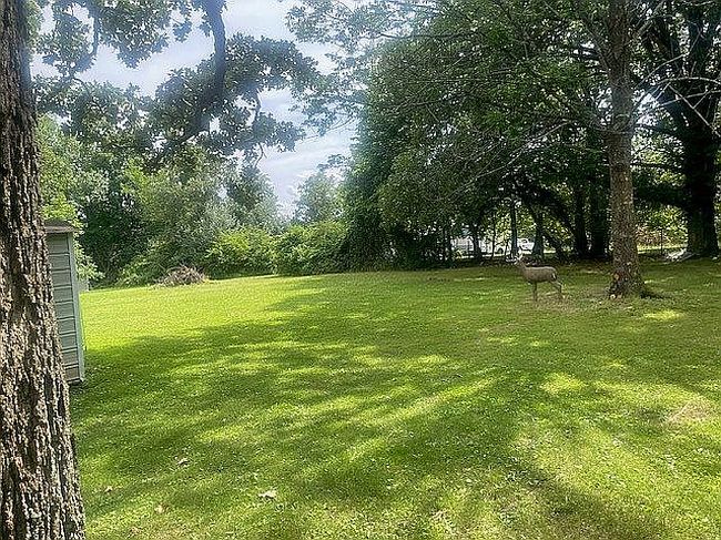Photo of 2841 Windwood Dr, Poplar Bluff, MO
