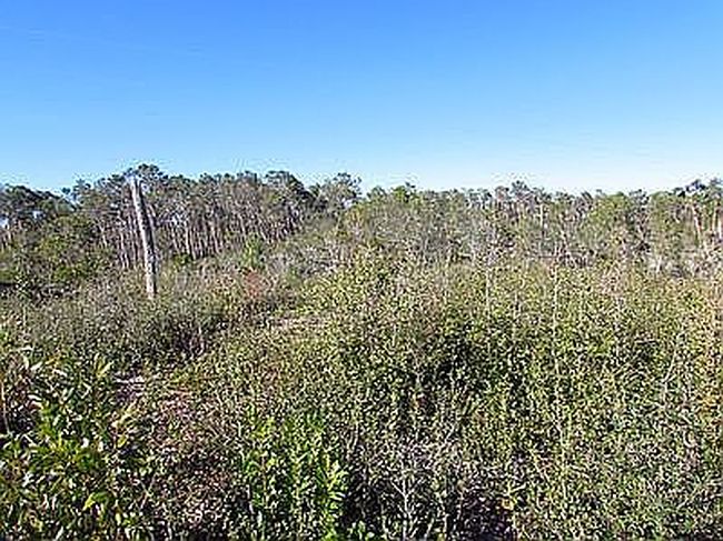 Photo of 2780 Royal Vista Ln, Carrabelle, FL