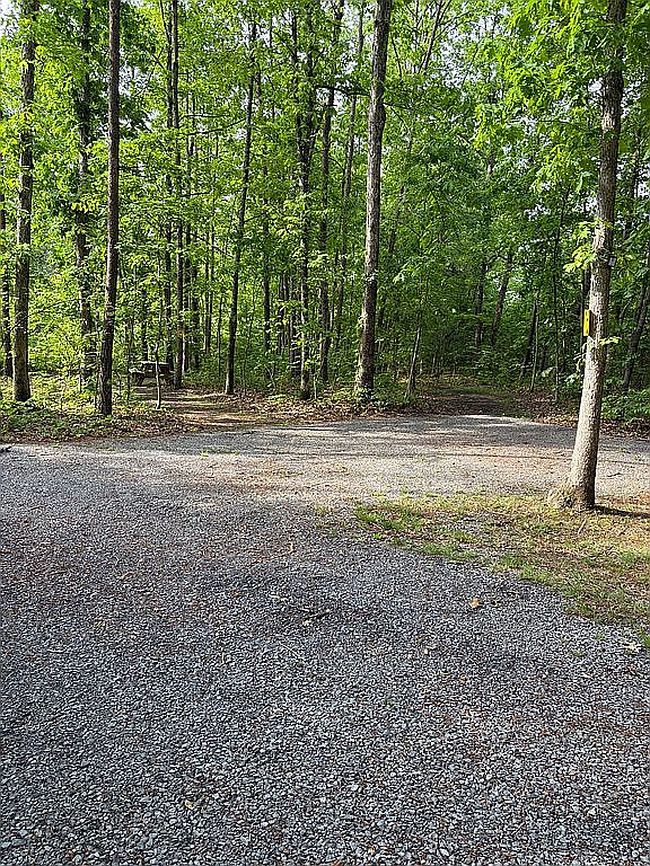 Photo of 0 Nicelytown Rd, Clifton Forge, VA