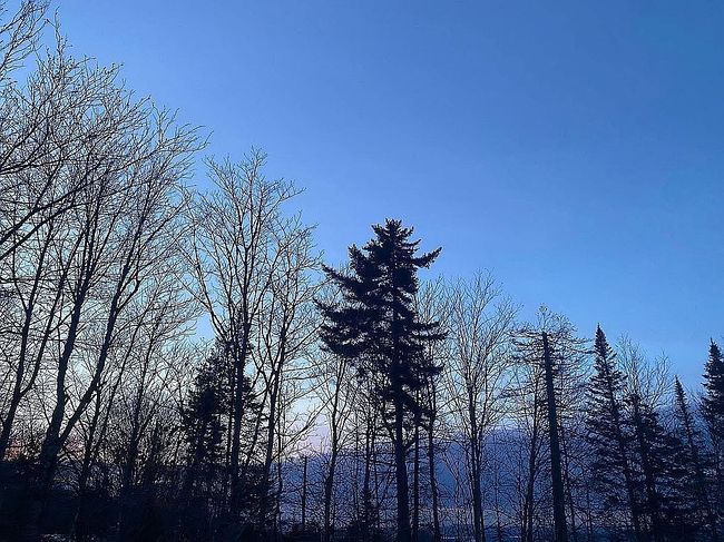 Photo of 1255 Coles Pond Rd, East Hardwick, VT