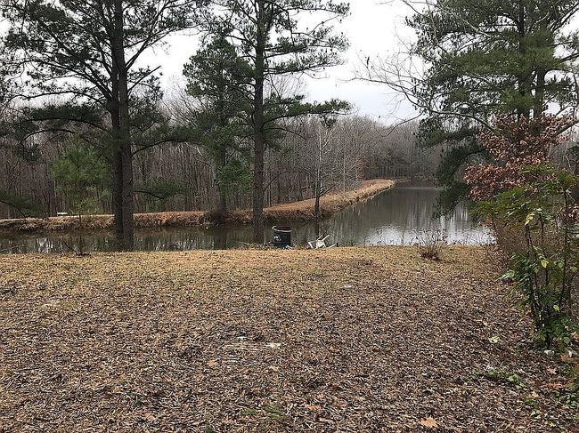 Photo of 91 Lookout Point Cv, Arlington, TN