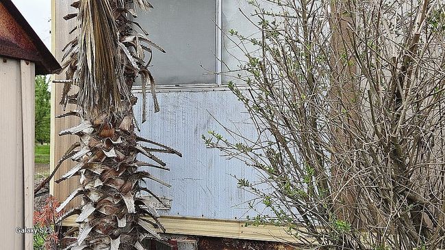 Image of 15050 East Hwy #120-7
