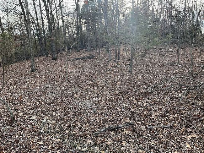 Image of 8119 Beaver Shores Rd