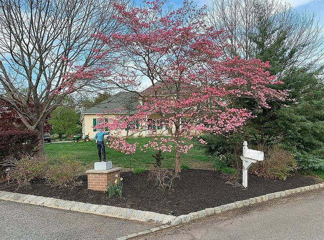 Photo of 6 Twin Ponds Trl, Colts Neck, NJ