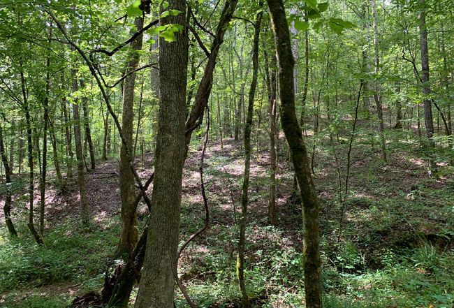 Image of 1321 River Road