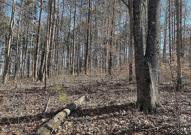 Image of 0 Keowee Overlook Rd Lot 62