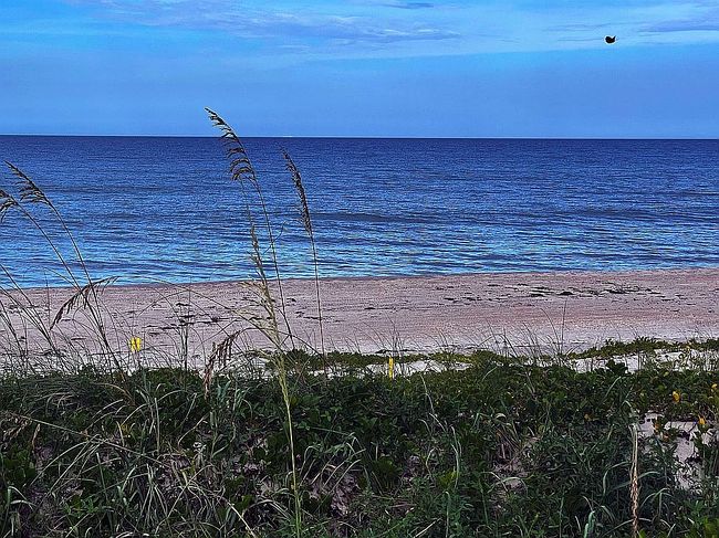 Photo of 2580 Highway A1A #73, Melbourne Beach, FL