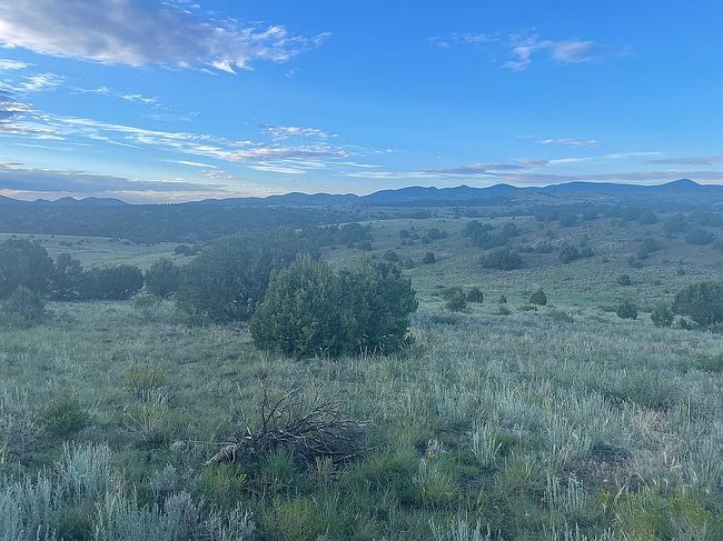 Additional photo 3 of property located at 0 Wet Mountain Trl