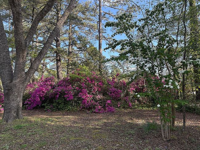 Photo of 3333 John Small Ave, Washington, NC