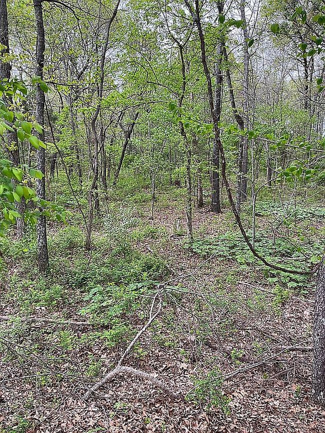 Image of 0 County Road 8200