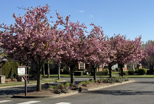 Photo of 1586 Bryce Park Loop, Lynden, WA