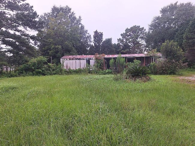 Photo of 12480 Venus Dr S, Wilmer, AL