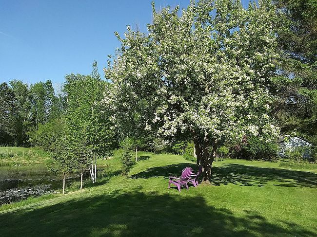 Image of 62684 County Road 149