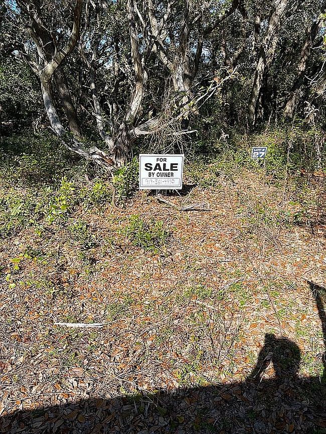 Image of 106 Swindell Ln