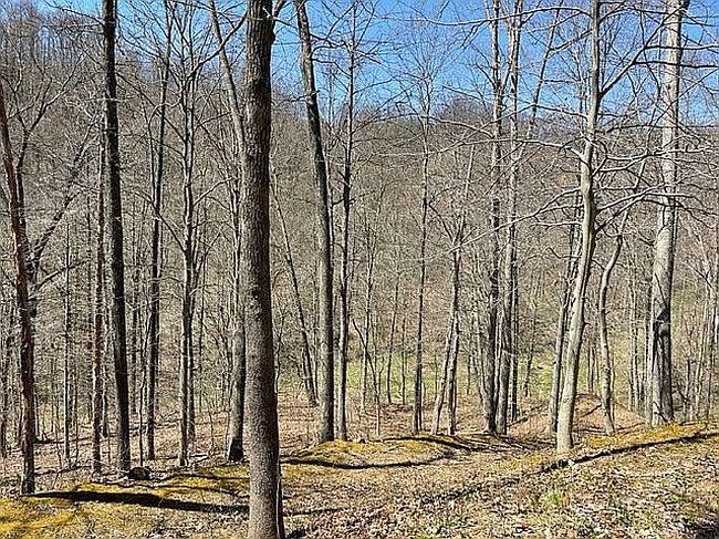 Image of 1375 Dry Fork Rd