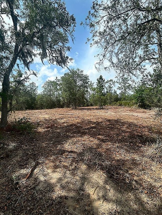 Photo of 0 Ne 92nd Pl, Bronson, FL