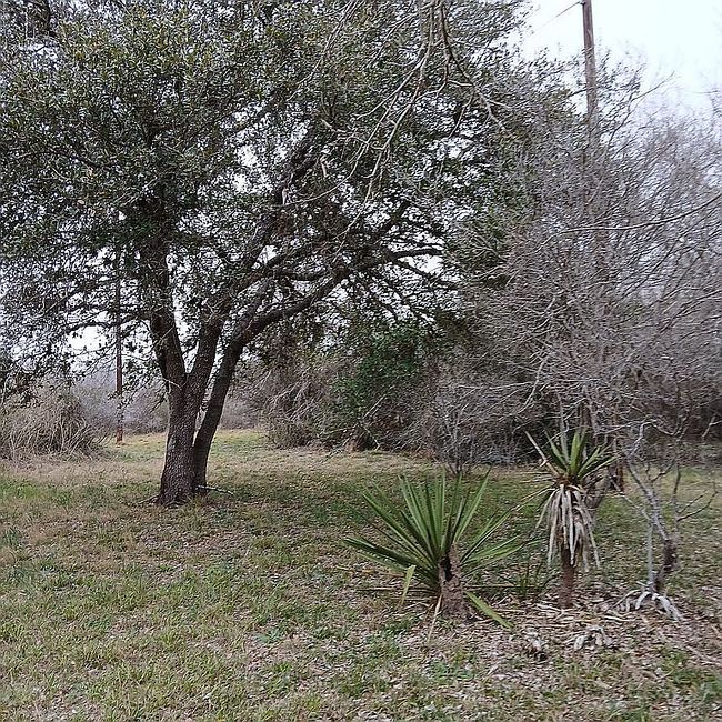Photo of 4306 Lower Mission Valley Rd