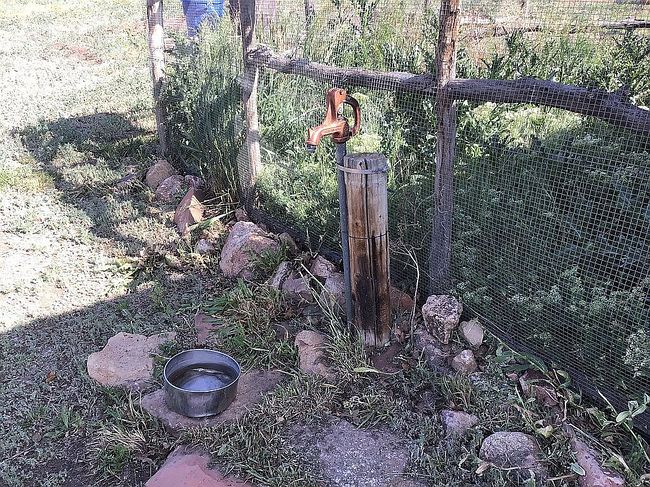 Photo of 1650 County Road 21, Cimarron, CO