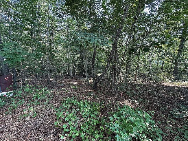 Photo of 117 Fat Ave Ne, Valdese, NC