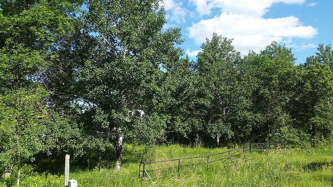 Photo of 31268 140th Ave Se, Mentor, MN