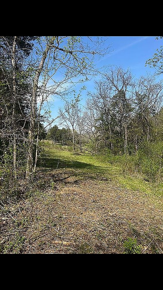 Image of 0 Shoreline Vis Lot 37