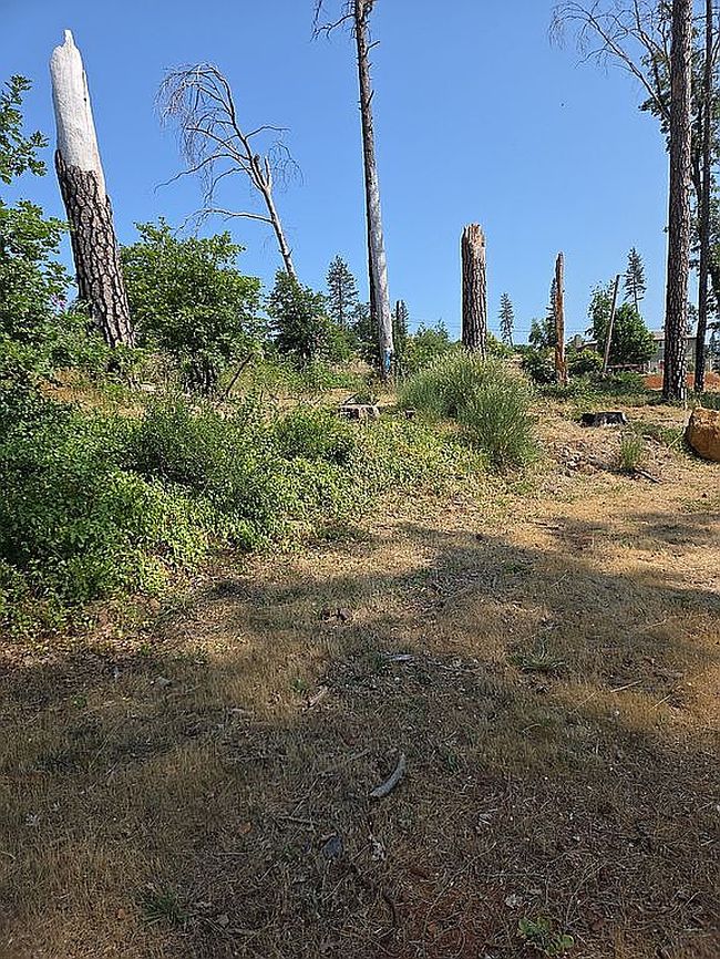 Photo of 1011 Pleasant Ln, Paradise, CA