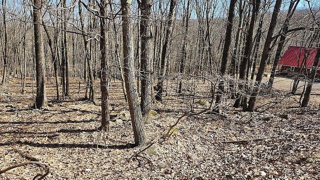 Photo of Eagle Pass Lot 711, Cresco, PA