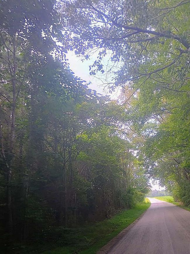 Photo of 20743 Double Branch Rd, Stony Creek, VA