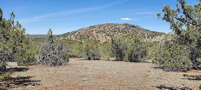 Photo of 697 E Pawpaw Ln, Williams, AZ