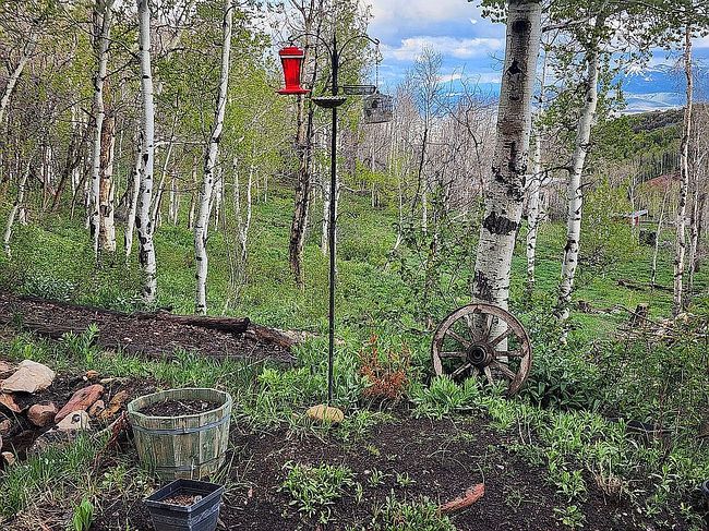 Photo of 10452 N Basin Canyon Rd, Park City, UT