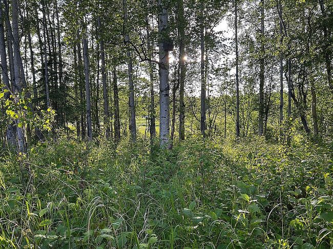 Photo of 4445 W Sedlar Cir, Wasilla, AK