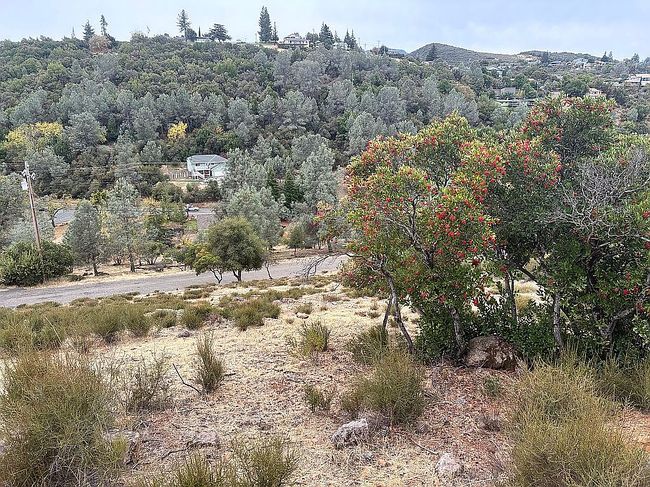 Image of 10148 El Capitan Way