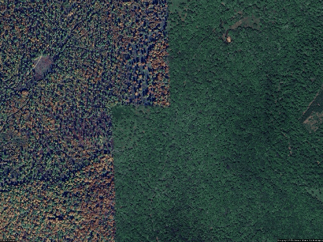 Image of 319 Snow Shoe Mountain Forest Rd