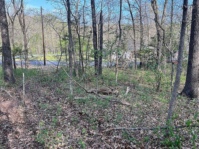 Image of 0 Tillingham Ln