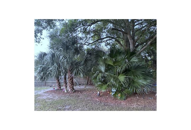 Image of 1341 Sherwood Avenue